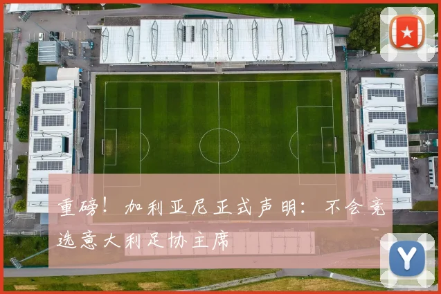 重磅!加利亚尼正式声明:不会竞选意大利足协主席